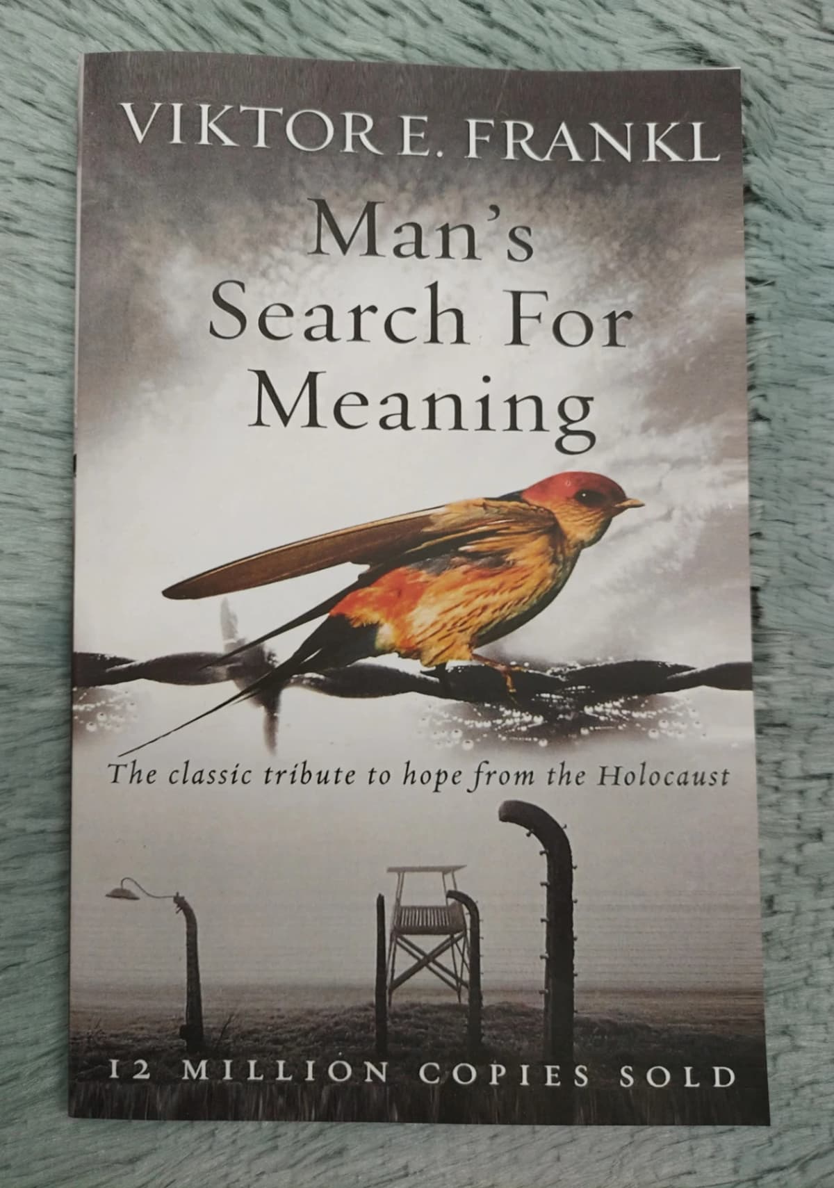 Man's Search For Meaning: The classic tribute to hope from the Holocaust